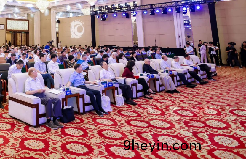 快(kuai)意(yi)電(dian)梯